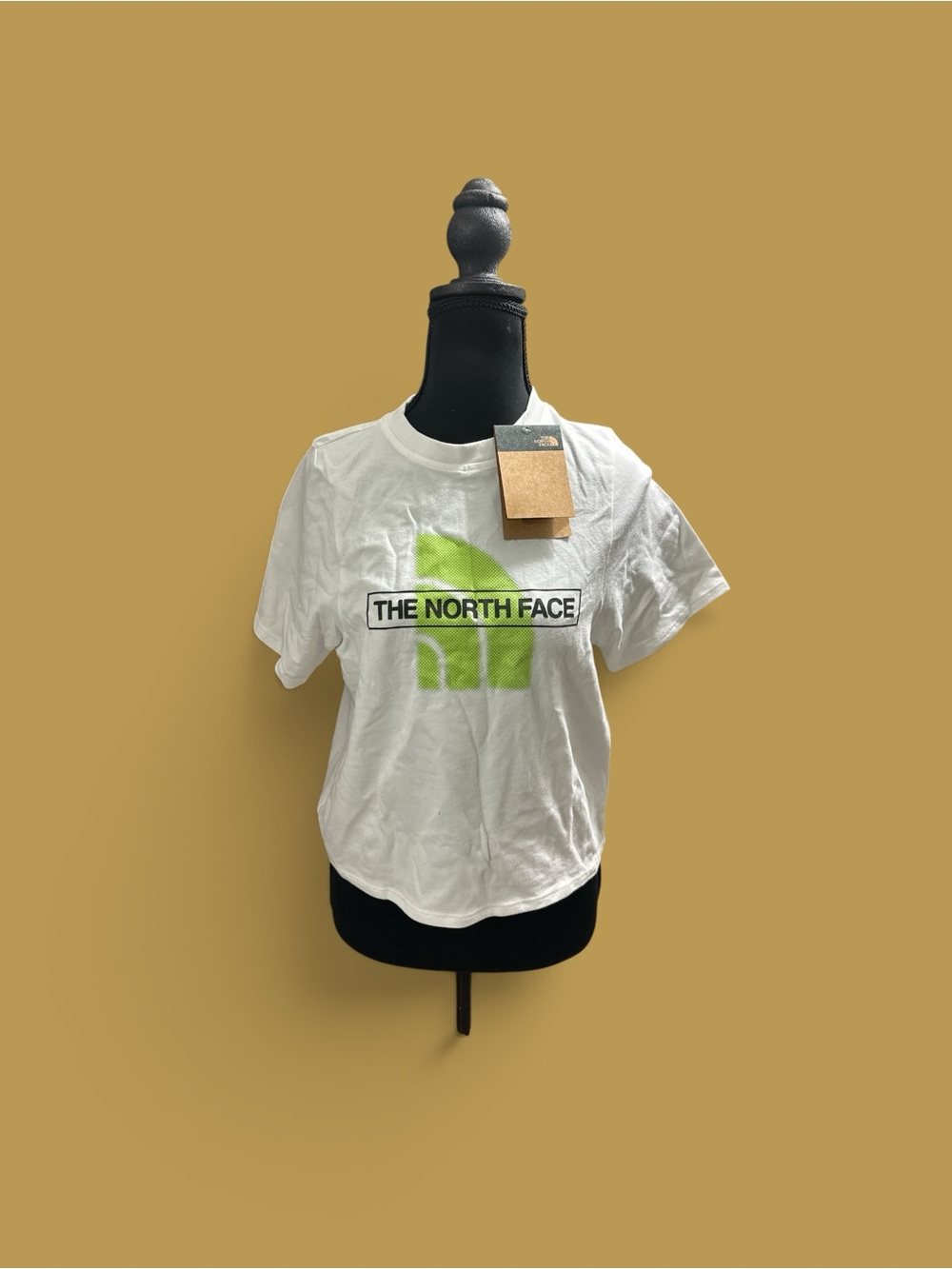 The North Face Women's Coordinates Cropped T-Shirt